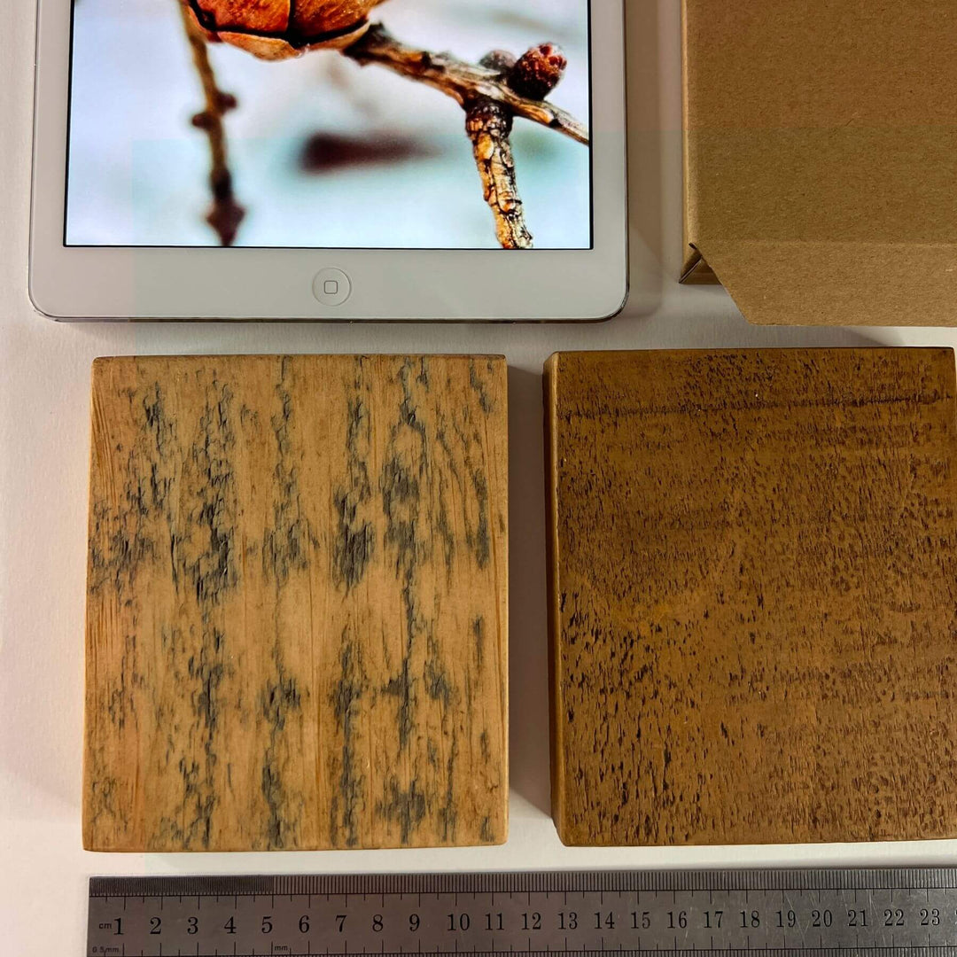 Willen Rose Sample Pack - Canadian Timber